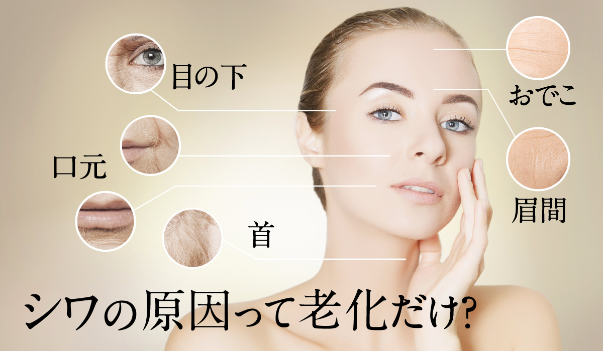 シワ悩み、目の下、おでこ、口元、首、眉間