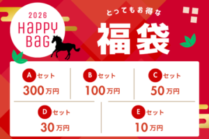 🐎新春🎍 お正月福袋🧧✨