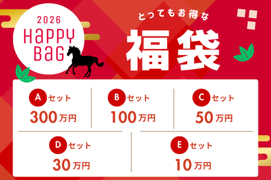 🐎新春🎍 お正月福袋🧧✨